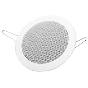 Visaton speaker 100v waterproofed