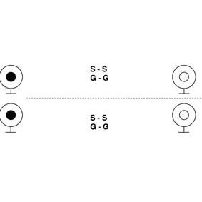 Cordon audio-vidéo 2 x rca mâle / 2 x rca femelle l=5m