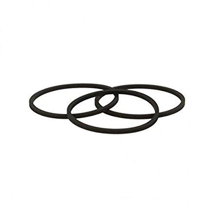 Courroie carree 81 x 2 mm