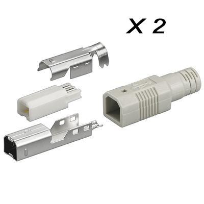 Blister de 2 x fiche usb mâle type b