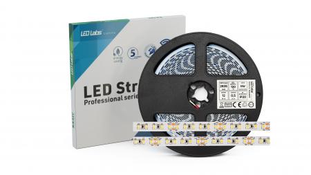 Ruban leds flexible 12v blanc froid 120leds/m 3528 12w/m ip20