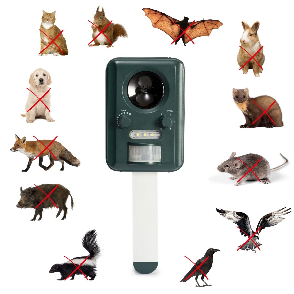 Répulsif ultrasonique solaire pour animaux (chats, chiens, oiseaux, rats, rongeurs) / 65m² / ip44