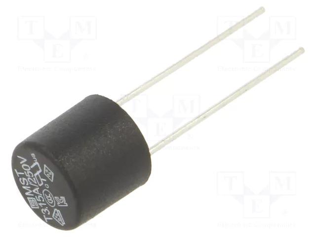 Fusible ci pas 5.08 mm temporise 3,15a (pattes longues)